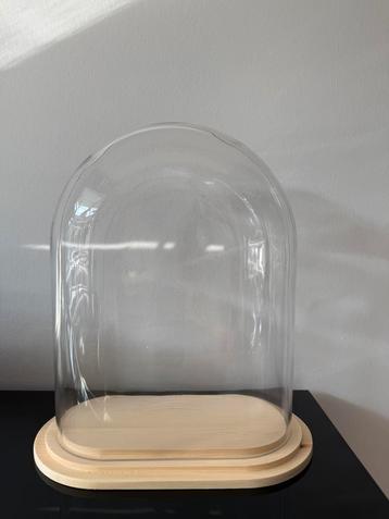 Stolp ovaal L helder glas blank houten plateau beschikbaar voor biedingen