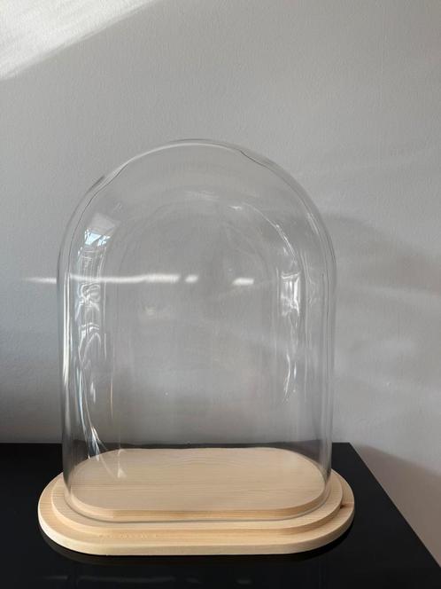 Stolp ovaal L helder glas blank houten plateau, Huis en Inrichting, Woonaccessoires | Stolpen, Nieuw, Ophalen of Verzenden