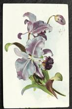 Reliefkaart Lila iris, 1908, Tuck Floral Postcard, Verzenden, Voor 1920, Gelopen, Natuur