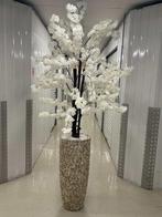 Schelpenvazen met bloesemboom, Ophalen of Verzenden, Nieuw