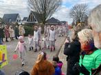 Carnaval loopgroep (groot), Ophalen of Verzenden, Zo goed als nieuw, Kostuum, Carnaval