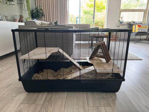 Grote hok voor een hamster, cavia, rat of muis, Dieren en Toebehoren, Knaagdieren en Konijnen | Hokken en Kooien, Gebruikt, Kooi