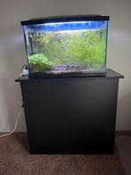 Compleet aquarium te koop, Dieren en Toebehoren, Ophalen, Zo goed als nieuw, Gevuld zoetwateraquarium