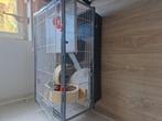 Hamsterkooi, Dieren en Toebehoren, Ophalen, Zo goed als nieuw, 75 tot 110 cm, Minder dan 65 cm