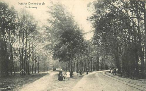(300-308-039) Groningen Ingang Dennebosch ingang, Verzamelen, Ansichtkaarten | Nederland, Groningen, Verzenden