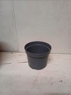 Kweekpotten bloempotten plantenpotten 2 liter, Kunststof, Gebruikt, Rond, Bakumer Str.73,
49393 Lohne
Germany