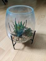 Decoratieve plant in glazen pot met standaard, Ophalen of Verzenden, Zo goed als nieuw