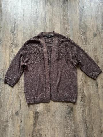 Super leuk vest van B.young!, maat S, ZGAN! beschikbaar voor biedingen