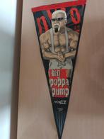Vlag Banner Big Poppa Pump Scott Steiner WCW /WWE NWO, Ophalen of Verzenden, Gebruikt