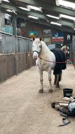 Dringend tijdelijke verzoger gezocht, Ophalen, Nieuw