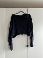 Donkerblauwe Brandy Melville trui, Kleding | Dames, Ophalen of Verzenden, Zo goed als nieuw, Maat 36 (S), Blauw