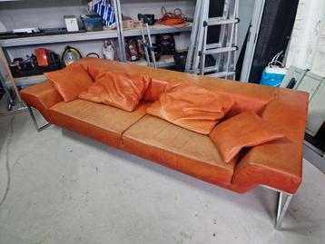 Molinari design bank.