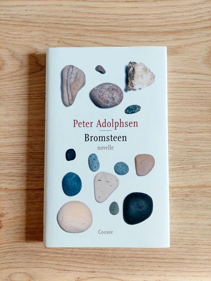 P. Adolphsen - Bromsteen, Boeken, Literatuur, Zo goed als nieuw, Ophalen of Verzenden