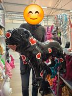 Grote Buldog Tuinbeeld - Nieuw met korting!, Tuin en Terras, Tuinbeelden, Ophalen, Nieuw, Kunststof, Dierenbeeld