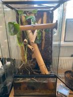 Bioactief terrarium 45x45x90, Dieren en Toebehoren, Reptielen en Amfibieën | Toebehoren, Ophalen of Verzenden