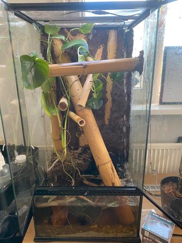 Bioactief terrarium 45x45x90 beschikbaar voor biedingen