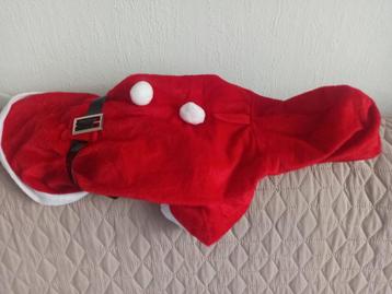 Kerstpakje (s) voor klein hondje beschikbaar voor biedingen