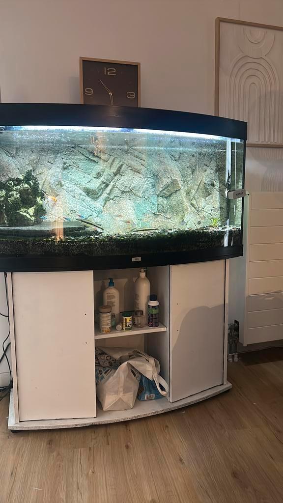 Juwel 260 aquarium + onderkast + pomp + vissen, Dieren en Toebehoren, Vissen | Aquaria en Toebehoren, Zo goed als nieuw, Gevuld zoetwateraquarium
