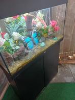 Aquarium en toebehoren, Ophalen of Verzenden, Zo goed als nieuw, Leeg aquarium