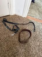 Hondenriem leer nieuw, Ophalen, Nieuw, Hondenriem