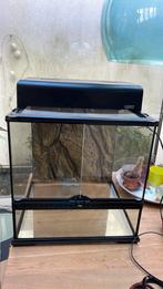 Exo Terra Terrarium 45x45x45 cm - Gebruikt, Perfecte Staat, Dieren en Toebehoren, Ophalen of Verzenden, Zo goed als nieuw