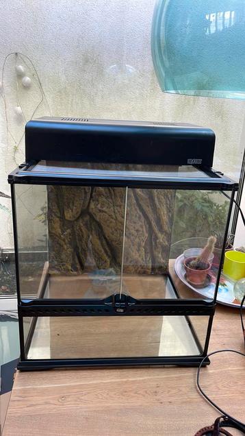 Exo Terra Terrarium 45x45x45 cm - Gebruikt, Perfecte Staat beschikbaar voor biedingen