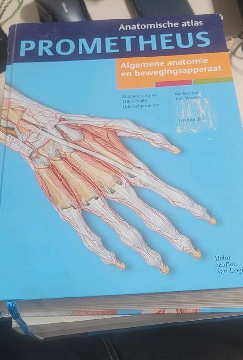 Michael Schunke - Algemene anatomie en bewegingsapparaat, Boeken, Wetenschap, Zo goed als nieuw, Ophalen of Verzenden