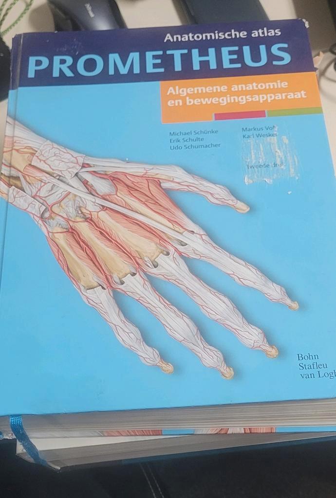 Michael Schunke - Algemene anatomie en bewegingsapparaat, Boeken, Wetenschap, Zo goed als nieuw, Ophalen of Verzenden