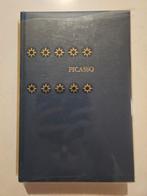 Picasso, Ophalen of Verzenden, Gelezen, Kunst en Cultuur