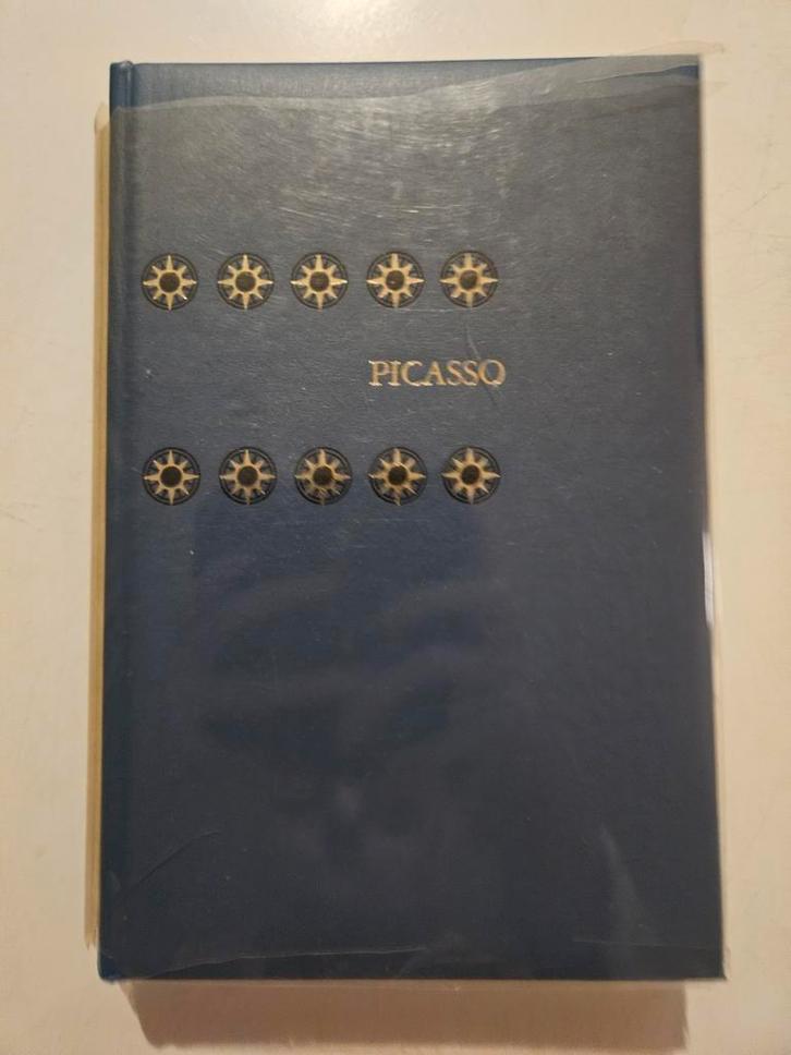 Picasso, Boeken, Biografieën, Gelezen, Kunst en Cultuur, Ophalen of Verzenden
