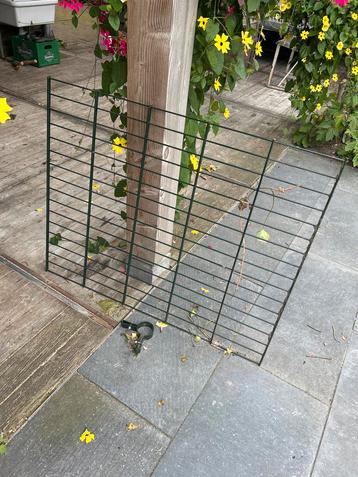 Groen Tuinraster 1 meter bij 80 cm 686 868 gaas beschikbaar voor biedingen