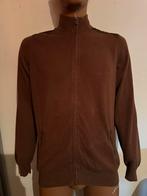 MASSIMO DUTTI vest met rits maat XL Origineel ZGAN, G, Ophalen of Verzenden, Zo goed als nieuw, Massimo Dutti