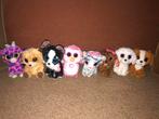 Ty beanie boo knuffels, Ophalen of Verzenden, Zo goed als nieuw, Overige typen