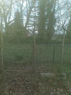 Appel- en perenbomen (20 jaar) zelf uitgraven, Ophalen of Verzenden