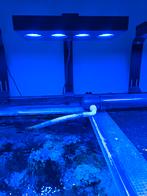 AI hydra 64HD, Dieren en Toebehoren, Vissen | Aquaria en Toebehoren, Ophalen, Gebruikt, Verlichting of Verwarming