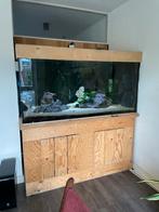 Groot aquarium ,  zoetwater aquarium, Dieren en Toebehoren, Ophalen, Gebruikt, Gevuld zoetwateraquarium