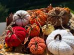 Gehaakte herfstpompoenen in verschillende maten, Ophalen of Verzenden, Nieuw