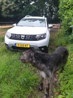 Dacia Duster 1.0 Tce 100pk Bi-fuel 4x2 2020 Wit, Auto's, Dacia, Stof, Duster, 96 €/maand, 100 pk