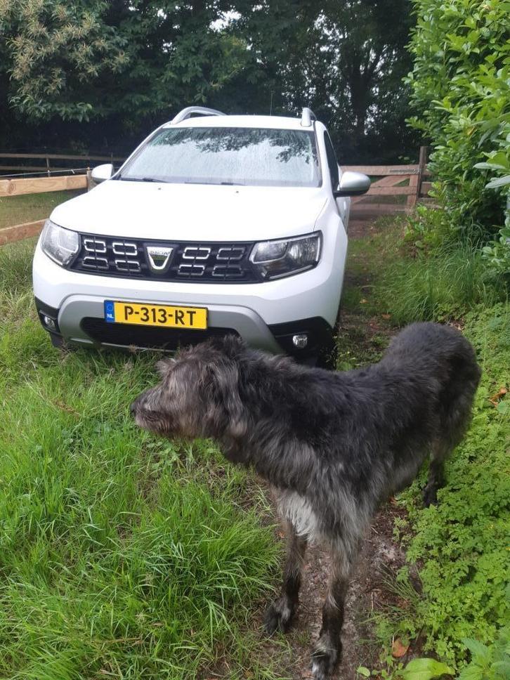 Dacia Duster 1.0 Tce 100pk Bi-fuel 4x2 2020 Wit, Auto's, Dacia, Particulier, Duster, Adaptieve lichten, Airbags, Airconditioning