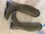 Nieuwe Petrie explorer olive 40, 48, 36, Dieren en Toebehoren, Dressuur, Dames, Nieuw, Ophalen of Verzenden