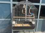 Te koop vogelkooi, Dieren en Toebehoren, Vogels | Hokken en Kooien, Ophalen, Zo goed als nieuw, Metaal, Vogelkooi