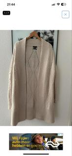 Massimo Dutti vest - Maat L, Kleding | Dames, Truien en Vesten, Ophalen of Verzenden, Maat 42/44 (L)