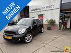 Mini Mini Countryman 1.6 Cooper S ALL4, 1355 kg, Euro 5, 750 kg, 4 stoelen