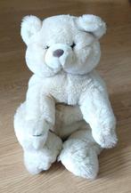 Teddy Freddy beer, volgnr 3, Ophalen of Verzenden, Beer