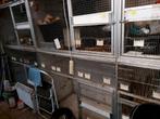 Voliere panelen en diverse vogelkooien en bakjes, Dieren en Toebehoren, Vogels | Hokken en Kooien, Ophalen, Gebruikt, Aluminium