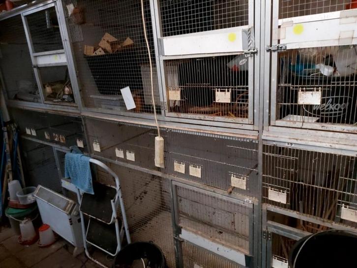 Voliere panelen en diverse vogelkooien en bakjes, Dieren en Toebehoren, Vogels | Hokken en Kooien, Gebruikt, Volière, Aluminium