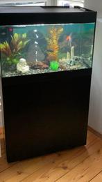Aquarium met toebehoren, Dieren en Toebehoren, Vissen | Aquaria en Toebehoren, Ophalen, Zo goed als nieuw, Gevuld zoetwateraquarium