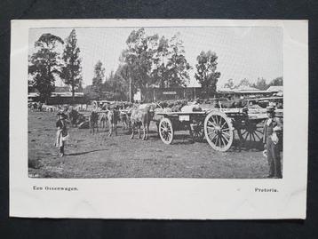 Ansichtkaart Zuid-Afrika Pretoria Een Ossenwagen beschikbaar voor biedingen