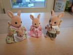 Sylvanian families families kangaroe, Ophalen of Verzenden, Zo goed als nieuw