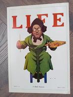 Life A Dark Futurist affiche poster, Ophalen of Verzenden, Gebruikt, A1 t/m A3